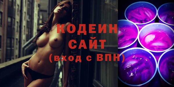 apvp Гусиноозёрск
