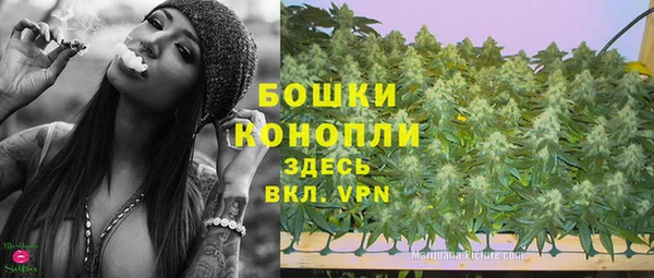 apvp Гусиноозёрск