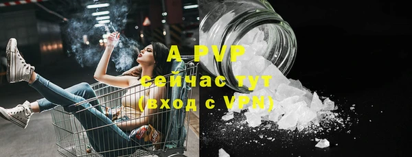 apvp Гусиноозёрск