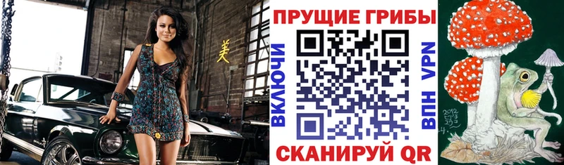 Галлюциногенные грибы прущие грибы цены Озёры